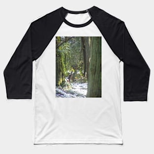 Forest Sun Rays in the Snow #46 Baseball T-Shirt